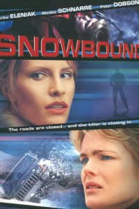  Занесенный снегом 