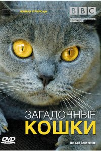 BBC: Загадочные кошки 
