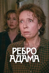  Ребро Адама 
